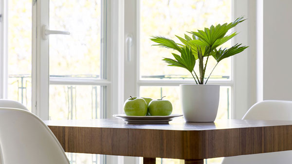 Referenz | DSC-Montagen | window | Hamburg